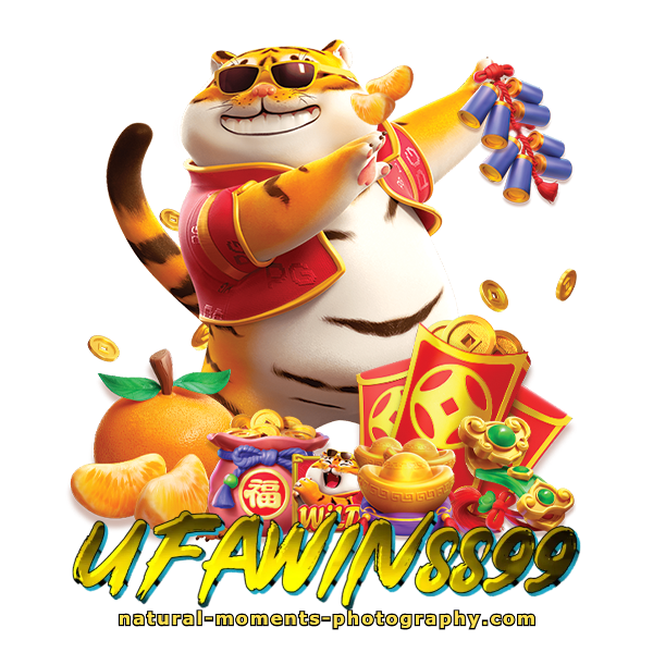ufawin 8899